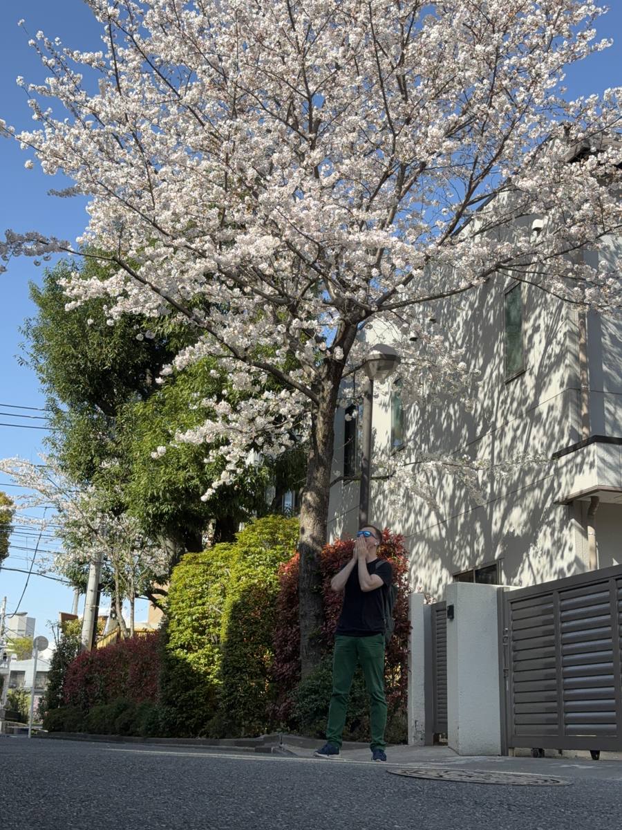 Watch ordinary Japanese life